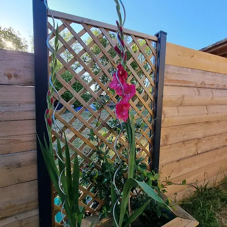 Le Cocon De Lily 3* Saint-Savin (Gironde)