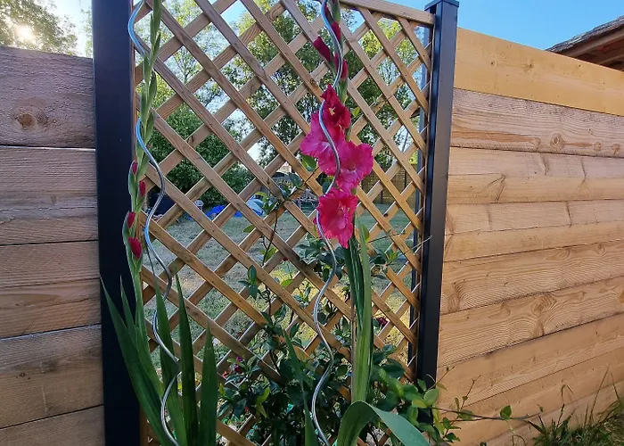 Le Cocon De Lily 3* Saint-Savin (Gironde)